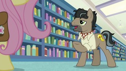 Size: 1920x1080 | Tagged: safe, screencap, doctor caballeron, fluttershy, earth pony, pegasus, pony, daring doubt, g4, book, bookshelf, duo, female, male, mare, stallion