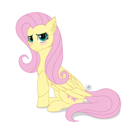 Size: 3000x3000 | Tagged: safe, artist:starshade, fluttershy, pegasus, pony, g4, blushing, cheek fluff, chest fluff, cute, cutie mark, ear fluff, female, full body, high res, looking at you, mare, raised hoof, shyabetes, simple background, sitting, smiling, solo, white background