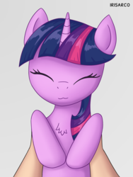 Size: 3769x5000 | Tagged: safe, artist:irisarco, twilight sparkle, human, pony, :3, chest fluff, cute, eyes closed, female, holding a pony, mare, offscreen character, pet, pettwi, pov, simple background, solo, twiabetes