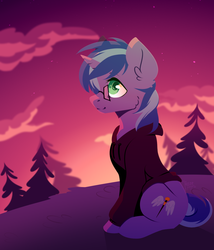 Size: 1200x1400 | Tagged: safe, artist:hazepages, oc, oc only, pony, unicorn, clothes, glasses, hoodie, male, solo, stallion, sunset