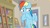 Size: 1920x1080 | Tagged: safe, screencap, rainbow dash, pony, daring doubt, g4, bookshelf, female, ladder, mare, solo