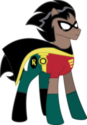 Size: 900x1292 | Tagged: safe, artist:fallingrain22, pony, alternate dimension, alternate universe, crossover, dc comics, ponified, robin, simple background, teen titans, transparent background, vector