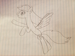 Size: 4032x3024 | Tagged: safe, artist:asiandra dash, rainbow dash, pegasus, pony, g4, cute, dashabetes, female, flying, lined paper, pencil drawing, solo, spread wings, traditional art, wings