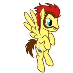Size: 894x894 | Tagged: safe, artist:sky chaser, oc, oc only, oc:sky chaser, pegasus, pony, beard, facial hair, flying, male, show accurate, solo, stallion, vector