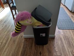 Size: 1249x937 | Tagged: safe, artist:qtpony, artist:tinyequine, fluttershy, pegasus, pony, g4, clothes, female, folded wings, into the trash it goes, irl, life size, mare, photo, plushie, ponies in real life, socks, solo, striped socks, trash can, wings, your waifu is trash