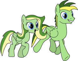 Size: 1014x788 | Tagged: safe, artist:didgereethebrony, oc, oc:boomerang beauty, oc:didgeree, pegasus, pony, base used, boomeree, brother and sister, cutie mark, female, male, mare, siblings, simple background, stallion, trace, transparent background