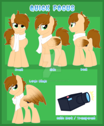 Size: 1024x1229 | Tagged: safe, artist:crystal-tranquility, oc, oc only, oc:quick focus, pegasus, pony, clothes, colored wings, colored wingtips, deviantart watermark, male, obtrusive watermark, reference sheet, scarf, solo, stallion, watermark