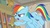 Size: 1920x1080 | Tagged: safe, screencap, rainbow dash, pony, daring doubt, g4, my little pony: friendship is magic, bookshelf, female, ladder, mare, solo