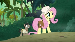 Size: 1920x1080 | Tagged: safe, screencap, doctor caballeron, fluttershy, earth pony, pegasus, pony, daring doubt, g4, duo, female, hat, male, mare, saddle bag, stallion