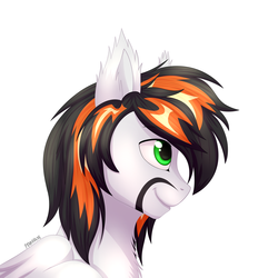 Size: 3500x3500 | Tagged: safe, artist:starshade, oc, oc only, oc:freedom heart, pegasus, pony, bust, commission, high res, male, portrait, simple background, smiling, solo, white background, ych result