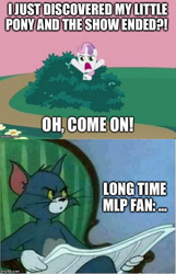 Size: 500x776 | Tagged: safe, edit, edited screencap, screencap, sweetie belle, cat, pony, unicorn, g4, hearts and hooves day (episode), brony, bush, bushicorn, caption, down beat bear, female, filly, funny, image macro, impact font, meme, newspaper, oh come on, out of context, text, tom and jerry, tom cat, tom reading the newspaper