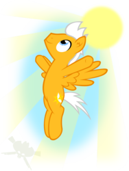 Size: 774x1032 | Tagged: safe, artist:bigrodeo, oc, oc only, pegasus, pony, solo, sun