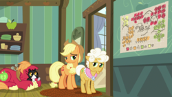 Size: 1920x1080 | Tagged: safe, screencap, applejack, big macintosh, goldie delicious, cat, g4, going to seed