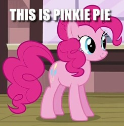 Size: 446x455 | Tagged: safe, edit, edited screencap, screencap, pinkie pie, earth pony, pony, g4, three's a crowd, captain obvious, caption, cropped, fact, female, image macro, no shit sherlock, solo, text, truth