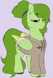 Size: 1598x2345 | Tagged: safe, artist:cold blight, oc, oc:lief, hybrid, pegasus, pony, clothes, feathered fetlocks, fluffy, hoodie, solo