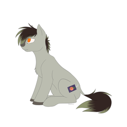 Size: 3500x3500 | Tagged: safe, artist:starshade, oc, oc only, earth pony, pony, cutie mark, full body, high res, male, simple background, white background