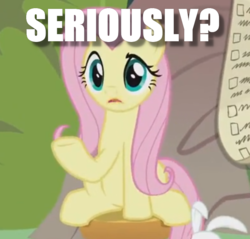 Size: 734x701 | Tagged: safe, edit, edited screencap, screencap, angel bunny, fluttershy, g4, she talks to angel, caption, cropped, image macro, reaction image, solo focus, text