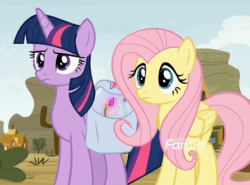 Size: 446x330 | Tagged: safe, screencap, fluttershy, twilight sparkle, alicorn, pegasus, pony, g4, growing up is hard to do, season 9, animated, duo, duo female, eye contact, eyeroll, female, flower, fluttershy is not amused, folded wings, frown, gif, looking at each other, looking at someone, mare, reaction image, saddle bag, twilight sparkle (alicorn), twilight sparkle is not amused, unamused, wings, wishing flower