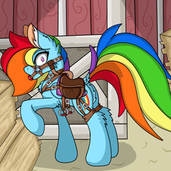 Size: 5000x5000 | Tagged: safe, artist:cuddlelamb, rainbow dash, pegasus, pony, g4, backwards cutie mark, ballgag, blushing, bridle, butt, dock, featureless crotch, female, gag, harness, leg fluff, looking at you, mare, plot, pubic fluff, reins, saddle, solo, stirrups, tack