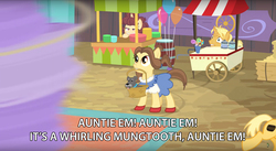 Size: 2880x1578 | Tagged: safe, edit, screencap, bon appétit, gourmand ramsay, ruby slippers (g4), dog, pony, whirling mungtooth, g4, growing up is hard to do, appleloosa, background pony, balloon, basket, cart, clothes, cowering, crossover, dorothy gale, dress, gordon ramsay, hay bale, meme, reference, running, shoes, text edit, the wizard of oz, twister