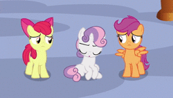Size: 1920x1080 | Tagged: safe, edit, screencap, apple bloom, applejack, big macintosh, fluttershy, rainbow dash, rarity, scootaloo, sweetie belle, twilight sparkle, alicorn, pony, g4, growing up is hard to do, advice, animated, bed, book, carousel boutique, chalkboard, cutie mark crusaders, flower, sound, twilight sparkle (alicorn), twilight's castle, webm, wishing flower