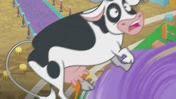 Size: 1274x717 | Tagged: safe, screencap, bloofy, cow, whirling mungtooth, g4, growing up is hard to do, cloven hooves, holstein, tornado, twister, udder