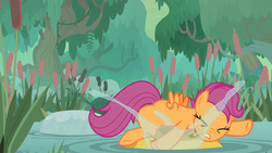 Size: 1600x900 | Tagged: safe, screencap, scootaloo, bufogren, pony, g4, growing up is hard to do, cattails, female, forest, older, older scootaloo, reeds, slipping, solo, splash, swamp
