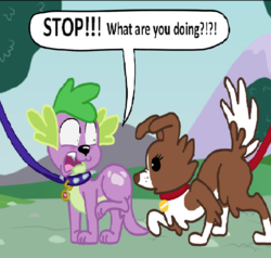 Size: 1020x973 | Tagged: safe, artist:mlpegasis4898, spike, winona, dog, equestria girls, g4, boundaries, butt sniffing, collar, female, leash, male, ship:spinona, shipping, shocked, sniffing, spike the dog, straight, tail
