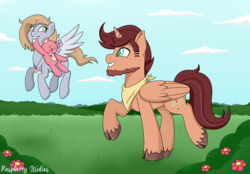 Size: 2962x2059 | Tagged: safe, artist:raspberrystudios, oc, oc only, alicorn, pony, alicorn oc, beard, commission, facial hair, female, filly, flower, grass, high res, male, male alicorn, patreon, patreon reward, pegasus oc, stallion, teddy bear