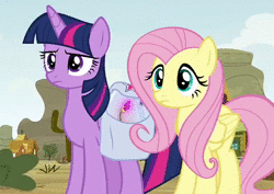 Size: 734x520 | Tagged: safe, screencap, fluttershy, twilight sparkle, alicorn, pegasus, pony, g4, growing up is hard to do, animated, cropped, duo, eyeroll, female, fluttershy is not amused, mare, reaction image, saddle bag, sound, twilight sparkle (alicorn), twilight sparkle is not amused, unamused, webm