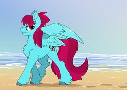 Size: 3508x2480 | Tagged: safe, artist:arctic-fox, oc, oc only, pegasus, pony, beach, female, high res, looking back, ocean, pegasus oc, side view, sky, solo, sparkles, walking