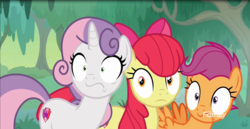 Size: 1782x918 | Tagged: safe, screencap, apple bloom, scootaloo, sweetie belle, earth pony, pegasus, pony, unicorn, g4, growing up is hard to do, cutie mark, cutie mark crusaders, older, older apple bloom, older cmc, older scootaloo, older sweetie belle, surprised, the cmc's cutie marks