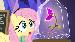 Size: 1920x1080 | Tagged: safe, screencap, fluttershy, pegasus, pony, g4, growing up is hard to do, chalkboard, crystal, curious, discovery family logo, female, flower, mare, solo, twilight's castle, wishing flower