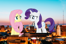 Size: 5605x3737 | Tagged: safe, artist:cloudy glow, artist:thegiantponyfan, fluttershy, rarity, pegasus, pony, unicorn, g4, absurd resolution, female, giant pony, giantess, highrise ponies, irl, macro, mare, milwaukee, photo, ponies in real life, story included, wisconsin