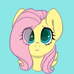 Size: 900x900 | Tagged: safe, artist:spoopygander, fluttershy, pegasus, pony, g4, bust, cute, eye clipping through hair, female, front view, full face view, looking at you, portrait, shy, shyabetes, simple background, smiling, solo, wings