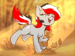 Size: 3492x2620 | Tagged: safe, artist:danli69, oc, oc only, oc:rifey, earth pony, pony, autumn, high res, leaves, solo