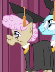 Size: 390x505 | Tagged: safe, screencap, aquamarine robe, rosy sapphire, pony, g4, growing up is hard to do, background pony, cropped, duo, graduation cap, hat