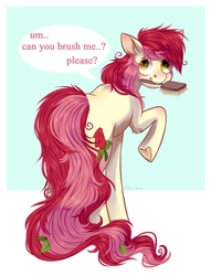 Size: 1648x2160 | Tagged: safe, artist:djkaskan, roseluck, earth pony, pony, g4, collar, commissioner:doom9454, cute, dialogue, female, fluffy, hairbrush, looking at you, looking back, looking back at you, mare, messy mane, messy tail, mouth hold, pony pet, raised hoof, rear view, rosepet, solo, speech bubble, text