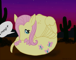 Size: 700x545 | Tagged: safe, artist:helicityponi, fluttershy, armadillo, pony, g4, desert, female, meep, solo, species swap