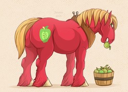 Size: 1280x924 | Tagged: safe, artist:jenery, big macintosh, earth pony, horse, pony, g4, apple, basket, bucket, chin fluff, food, horse collar, male, mouth hold, realistic horse legs, solo, stallion, tan background, unshorn fetlocks