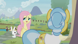 Size: 1600x900 | Tagged: safe, screencap, angel bunny, doctor fauna, fluttershy, earth pony, pegasus, pony, rabbit, g4, she talks to angel, animal, bridge, female, frazzled, male, mare, river, sweet feather sanctuary