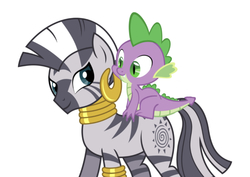 Size: 750x531 | Tagged: artist needed, safe, editor:undeadponysoldier, spike, zecora, dragon, earth pony, pony, zebra, g4, dragons riding ponies, female, interspecies, male, mare, riding, shipping, simple background, spicora, spike riding zecora, straight, white background