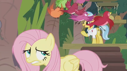 Size: 1600x900 | Tagged: safe, screencap, constance, doctor fauna, fluttershy, bird, earth pony, pegasus, pony, g4, she talks to angel, ducking, female, flock, mare, platform, stairs, sweet feather sanctuary, tree, worried