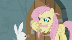 Size: 1600x900 | Tagged: safe, screencap, angel bunny, doctor fauna, fluttershy, pegasus, pony, rabbit, g4, she talks to angel, animal, door, duo, eyes closed, female, frazzled, male, mare, scroll, sweet feather sanctuary, unamused, upset, wing hands, wing hold, wings