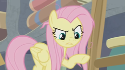 Size: 1600x900 | Tagged: safe, screencap, fluttershy, pegasus, pony, g4, she talks to angel, annoyed, female, folded wings, frazzled, mare, pointing, raised hoof, solo, upset, wings
