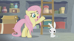 Size: 1600x900 | Tagged: safe, screencap, angel bunny, fluttershy, pony, rabbit, g4, she talks to angel, animal, argument, box, container, duo, female, frazzled, ladder, male, mare, shelf, unamused, upset