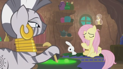 Size: 1600x900 | Tagged: safe, screencap, angel bunny, fluttershy, zecora, pegasus, pony, rabbit, zebra, g4, she talks to angel, angry, animal, brew, candle, cauldron, container, door, ear piercing, earring, female, frazzled, jewelry, male, mare, neck rings, piercing, shelf, sitting, trio, upset, window, zecora's hut