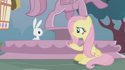 Size: 1600x900 | Tagged: safe, screencap, angel bunny, fluttershy, pegasus, pony, rabbit, g4, she talks to angel, animal, body swap, duo, female, fountain, house, male, mare, sitting