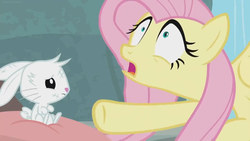 Size: 1366x768 | Tagged: safe, screencap, angel bunny, fluttershy, pegasus, pony, rabbit, g4, she talks to angel, animal, body swap, dirty, duo, female, frazzled, male, mare, pillow, sitting