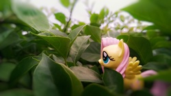 Size: 3840x2160 | Tagged: safe, fluttershy, pegasus, pony, g4, female, high res, irl, mare, photo, toy